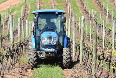 Kompakter Traktor im Weinbaugebiet